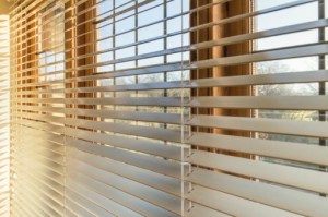 Children Are Still Getting Caught and Strangled in Window Blinds—What Can Be Done?