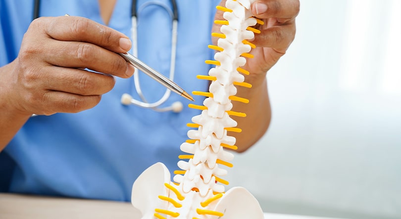 WV - Spinal Cord WV - Spinal Cord